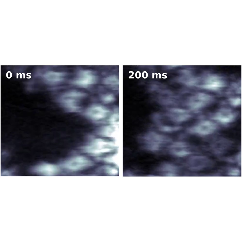 Atomic scale microscopy at video rate: FastSTM experiments for NFFA ...