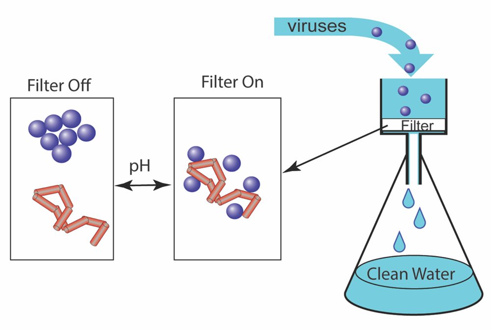 pHtriggered interactions of viruses with nanocellulose for advanced